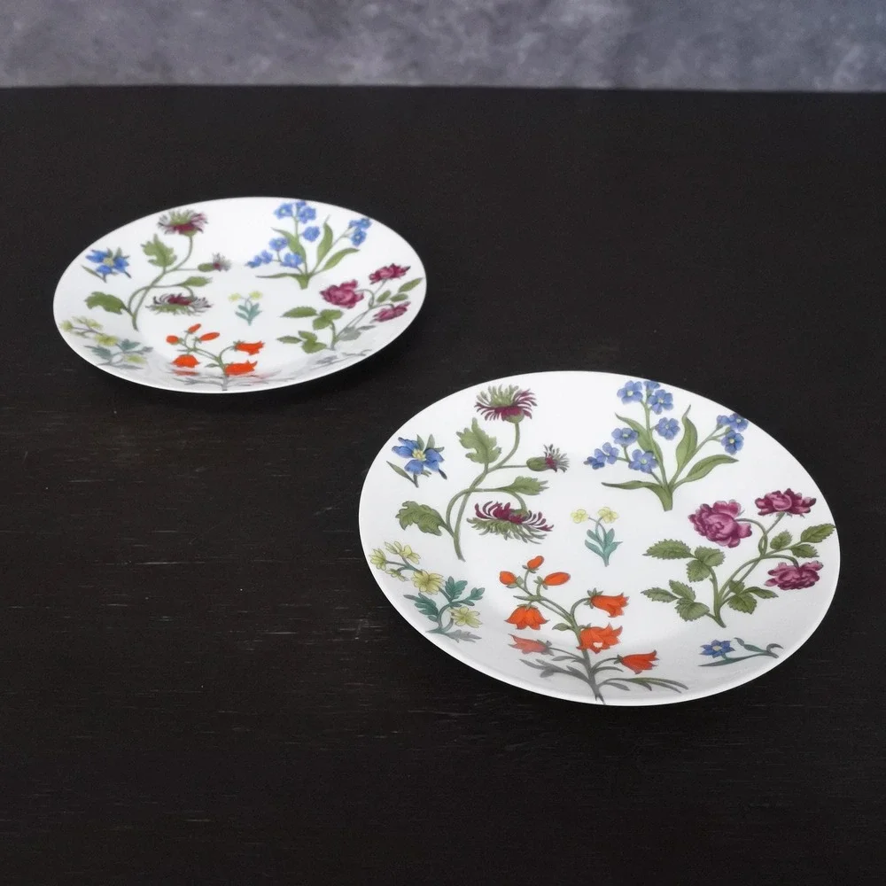 Vintage 70s Porcelaine de Paris Limoges Decor Herbier Coffee Tea Cup Saucer Set